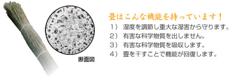 �吳12�N�n�Ƃ̓����s�����s�֌˂̏��X�u�ؐ��􏊁v��͂���ȋ@�\�������Ă��܂��I